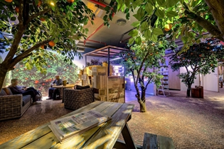 谷歌的办公室装修让人难以置信—好想留下来上班班