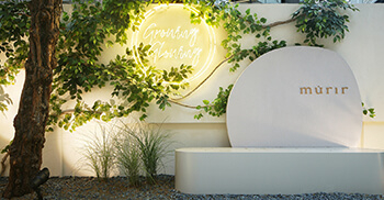 塑造空间对美的多样性尊重—由办公装修公司分享