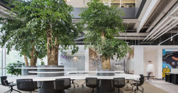 办公设计公司打造自然元素办公空间—使之形成风景区