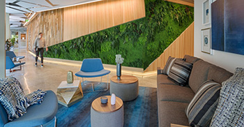 谷歌办公装修空间-打造现代休闲办公室