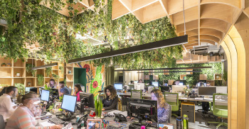 生物办公打造优美环境-广州办公室装修分享