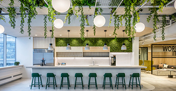 秉承亲生物原则的办公室艺术设计