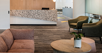 开启色彩之旅——就业服务办公室空间