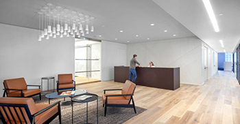 定制的饰面、固定装置和家具营造出一种奢华的氛围