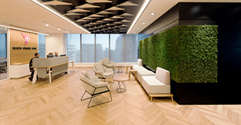 办公空间通过使用木材和绿色植物而变得柔和