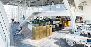 办公室装修遵循自然光照原则 确保空间的整体明亮和通透