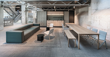 办公室装修：颜色和材料为现有的混凝土增添了温暖的灰色基调