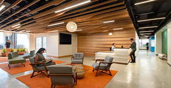 办公室装修设计：木质元素沿着循环路径流动