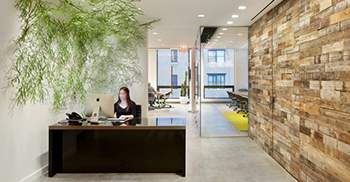 办公室设计——混凝土可以抵消温暖的木材 又可用作彩绘标牌的画布