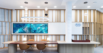 公司办公室设计——平静的调色板和符合人体工程学的材料和家具邀请您充电和呼吸