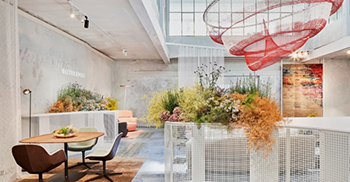 办公室装修——透明、通风的空间元素节省了材料 特别关注可持续性和可重用性