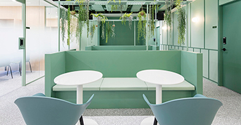 公司办公室装修：以绿色配以充满生机的绿色植物 奠定了本案总体的设计基调