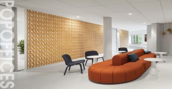 办公室装修设计：圆形的构造与光滑和简洁的建筑风格形成了鲜明的对比