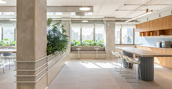 办公空间设计装修：植物被精心放置在整个空间中营造出一种开放感