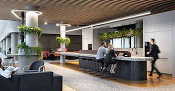 办公室装修设计：以溪流自由可爱的生态形式为灵感