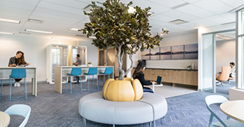 办公室设计：自然元素带来视觉放松 促进工作场所的和谐