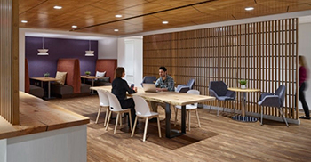 办公室设计：柔和的调色板在整个空间中提供了有凝聚力的美感