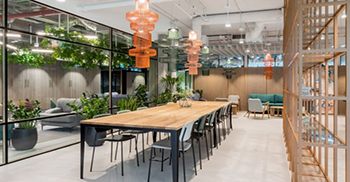 办公室设计和开发的是“丛林室”区域创造了特定的小气候