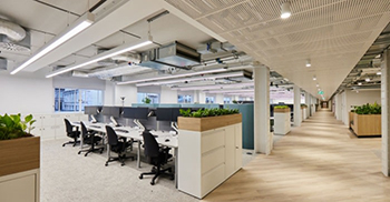 办公室装修：茶色和绿松石有助于营造出更柔和的美感