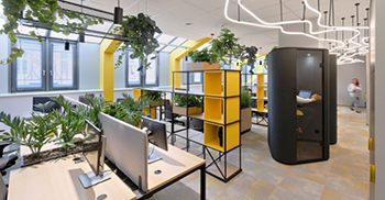 办公室装修设计案例：带有植物的橱柜花盆旨在将办公桌上的工作场所与交流分开