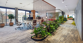 办公室空间设计：绿色岛屿嵌入在高架地板上