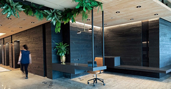 办公楼室内装修：饰面选择建立在CLT的粗糙纹理和暖色调之上